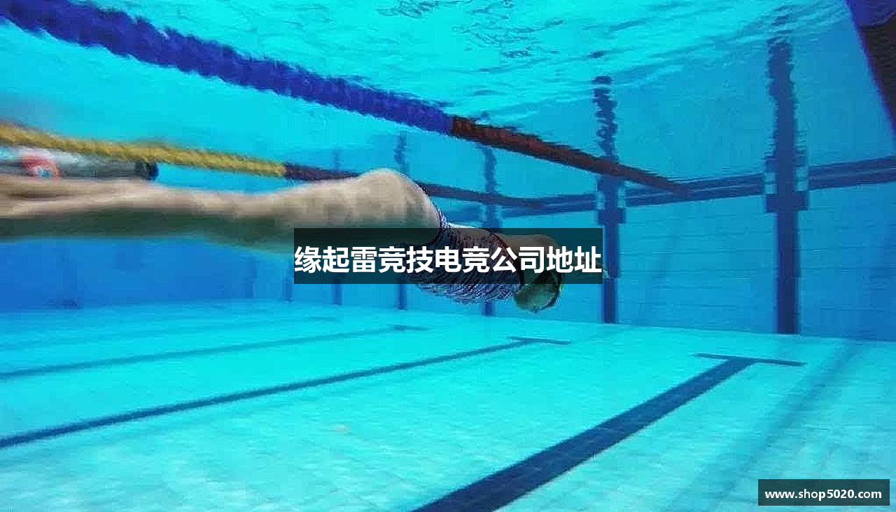 缘起雷竞技电竞公司地址